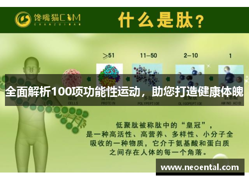 全面解析100项功能性运动，助您打造健康体魄