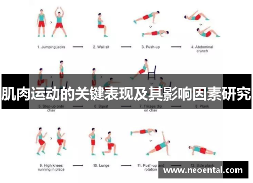 肌肉运动的关键表现及其影响因素研究
