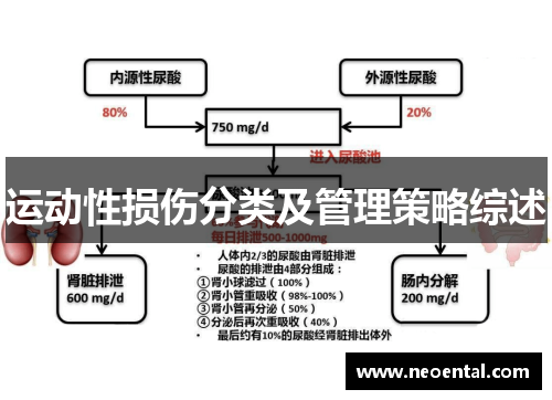 运动性损伤分类及管理策略综述